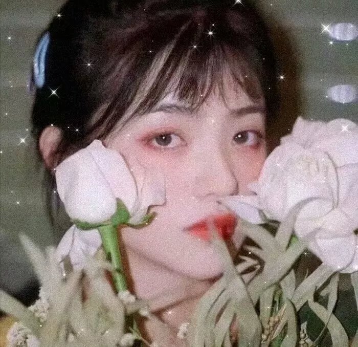 泰山和美人鱼