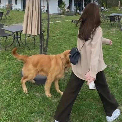 你好,树公主